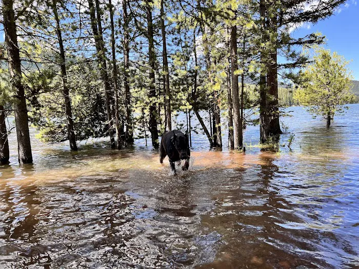 Chisholm Campground Picture 7