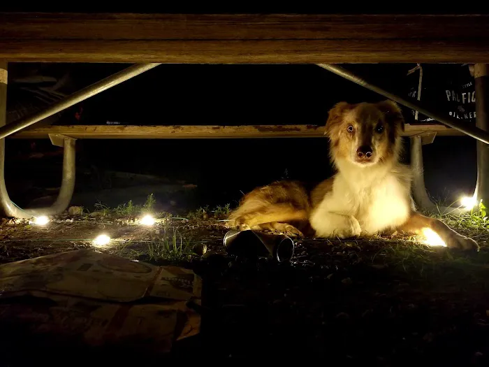 Wade Lake Campground and Picnic Areas Picture 3