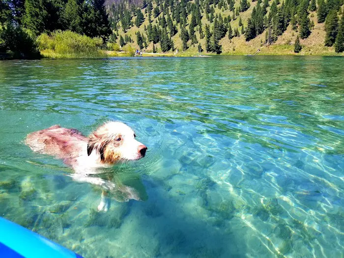 Wade Lake Campground and Picnic Areas Picture 6