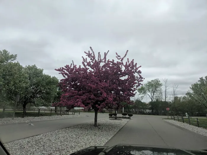 Nesen's Countryside Inc Picture 1