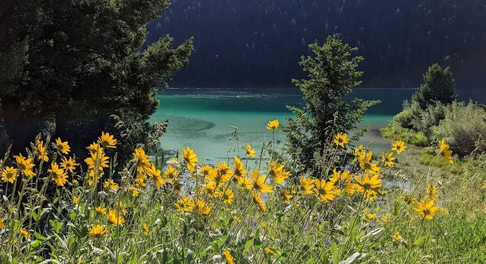 Cliff Point Campground Picture 4