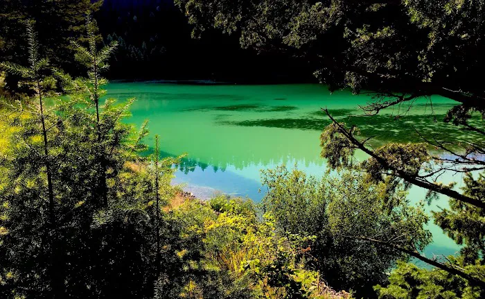 Cliff Point Campground Picture 7