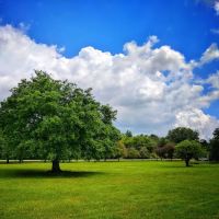 Meadow Lane Estates ico