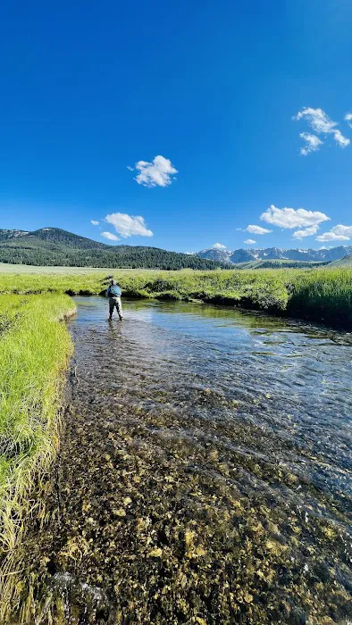 Elk Lake Dispersed Camping and Picnic Area Picture 2