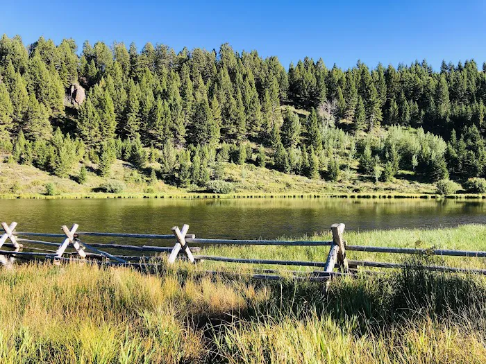 Elk Lake Dispersed Camping and Picnic Area Picture 9