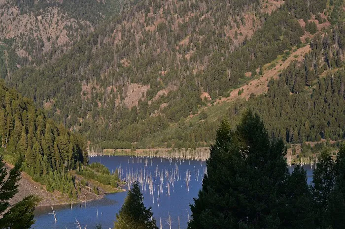 Beaver Creek Campground Picture 2