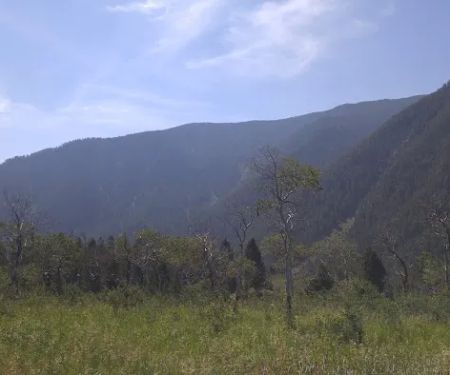 Beaver Creek Campground