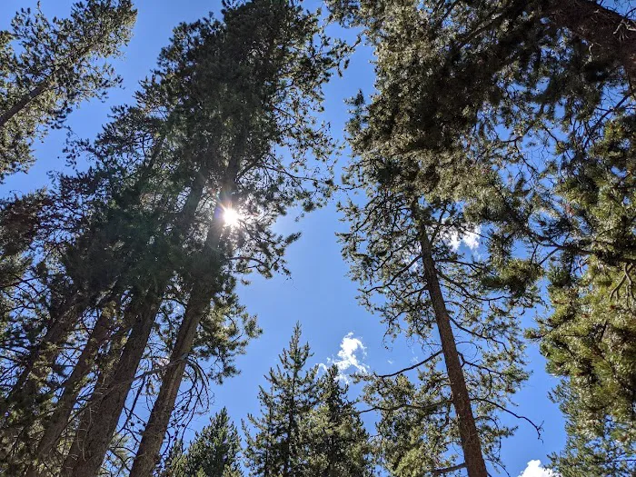 Beaver Creek Campground Picture 9