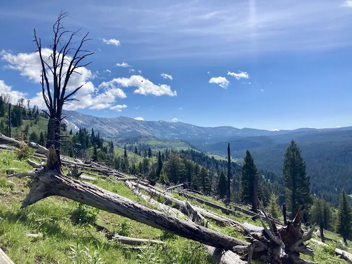 CABIN CREEK CAMPGROUND Picture 1