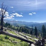 CABIN CREEK CAMPGROUND