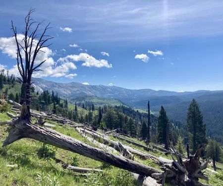 CABIN CREEK CAMPGROUND