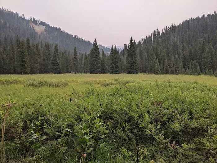 CABIN CREEK CAMPGROUND Picture 5