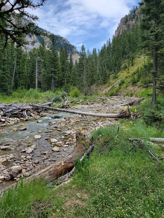 CABIN CREEK CAMPGROUND Picture 4