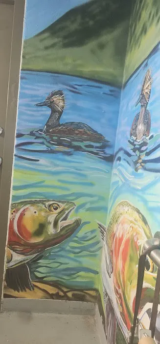 Cozy Island Park Cabin Picture 5