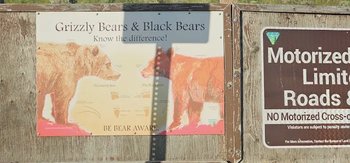 Cozy Island Park Cabin Picture 6