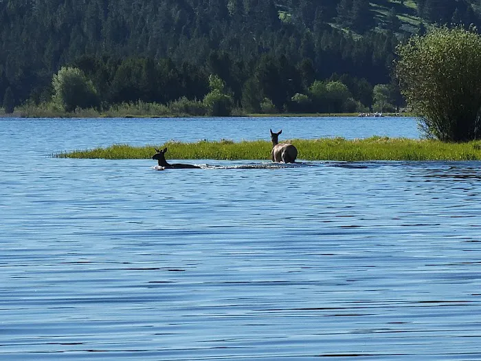Cherry Creek Campground Picture 7