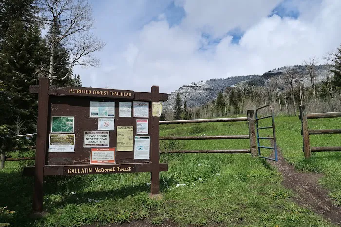 Tom Miner Campground Picture 1