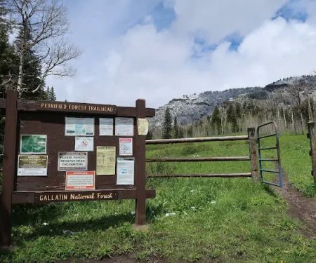 Tom Miner Campground