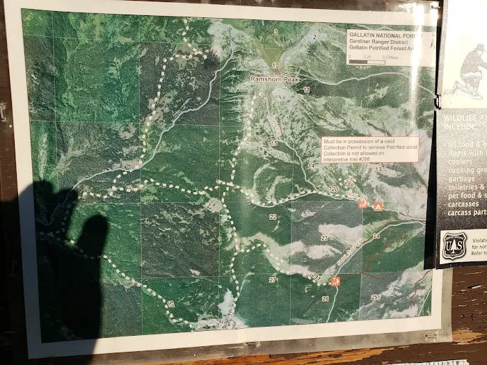 Tom Miner Campground Picture 2