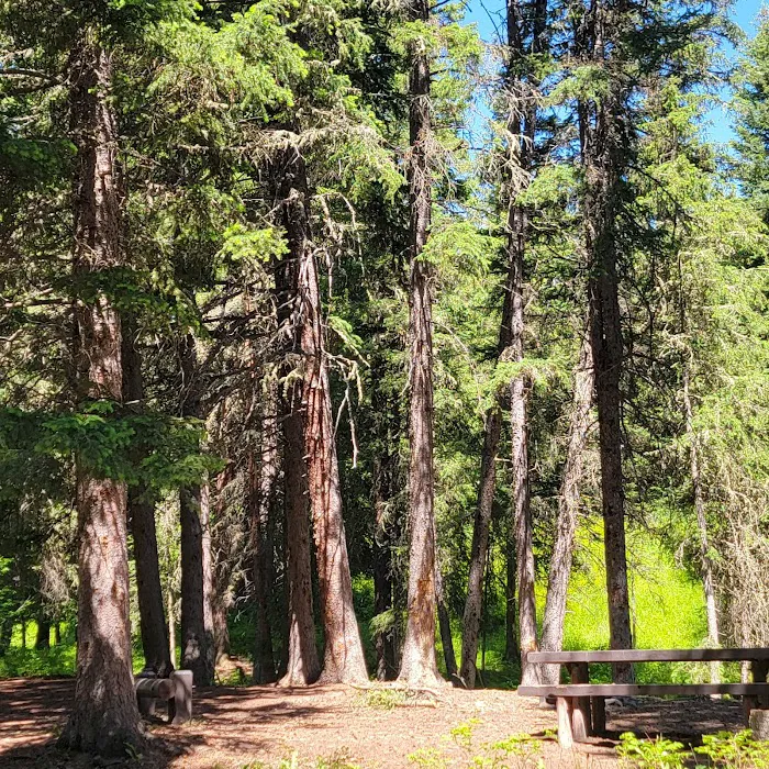 Tom Miner Campground Picture 9