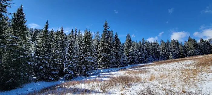 Tom Miner Campground Picture 6