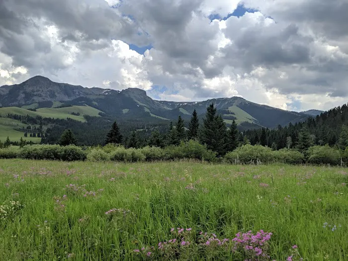 Tom Miner Campground Picture 10