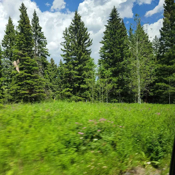 Tom Miner Campground Picture 5