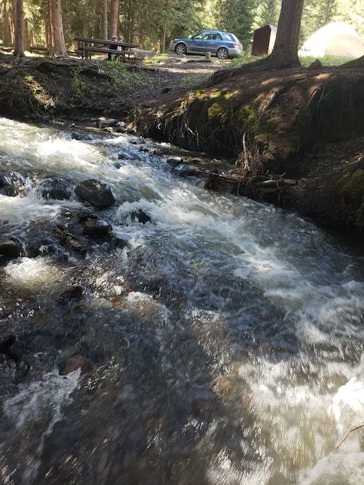 Tom Miner Campground Picture 3