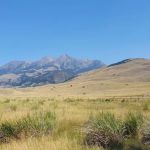 Dailey Lake Campground