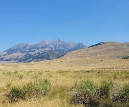 Dailey Lake Campground