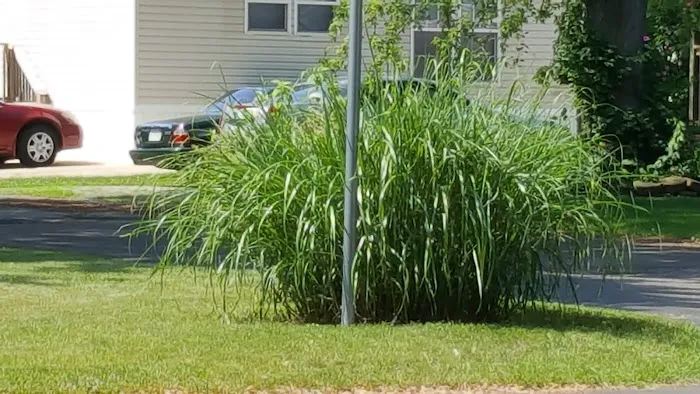 Green Acres Manufactured Home Community Picture 8
