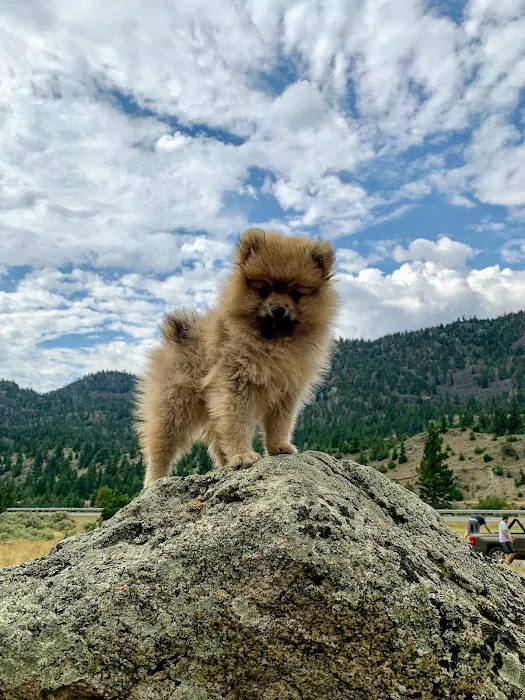 Canyon Campground Picture 7