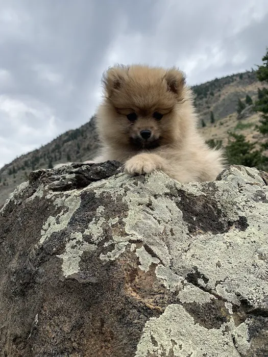 Canyon Campground Picture 6