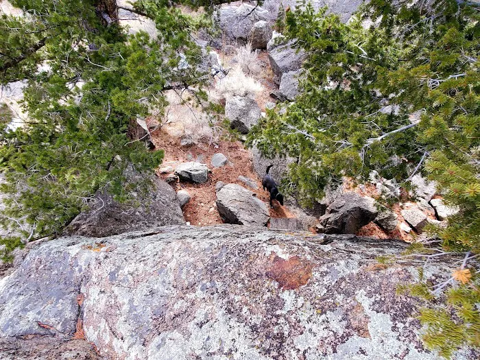 Canyon Campground Picture 4