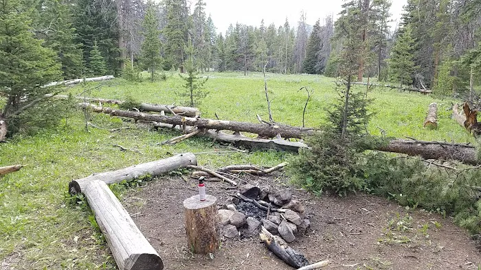 Upper Dailey Creek WF2 Picture 1