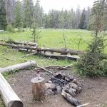 Upper Dailey Creek WF2