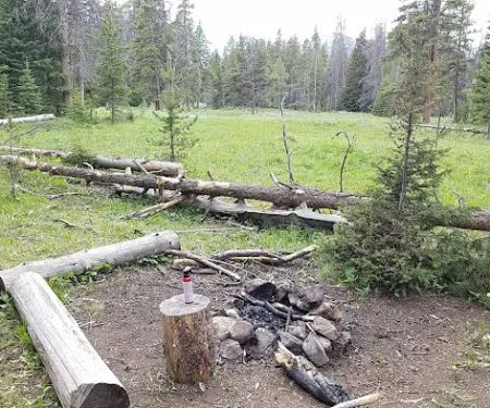 Upper Dailey Creek WF2