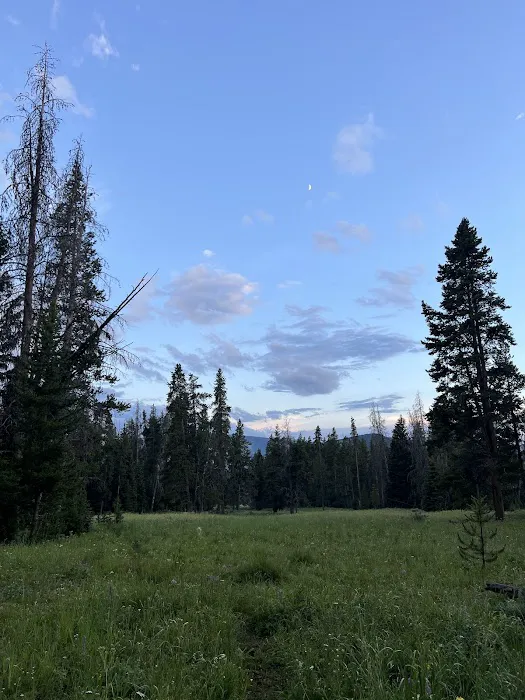 Upper Dailey Creek WF2 Picture 2