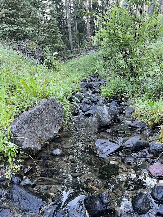 Upper Dailey Creek WF2 Picture 5