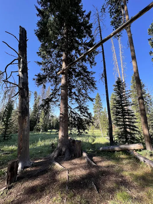 Upper Dailey Creek WF2 Picture 6