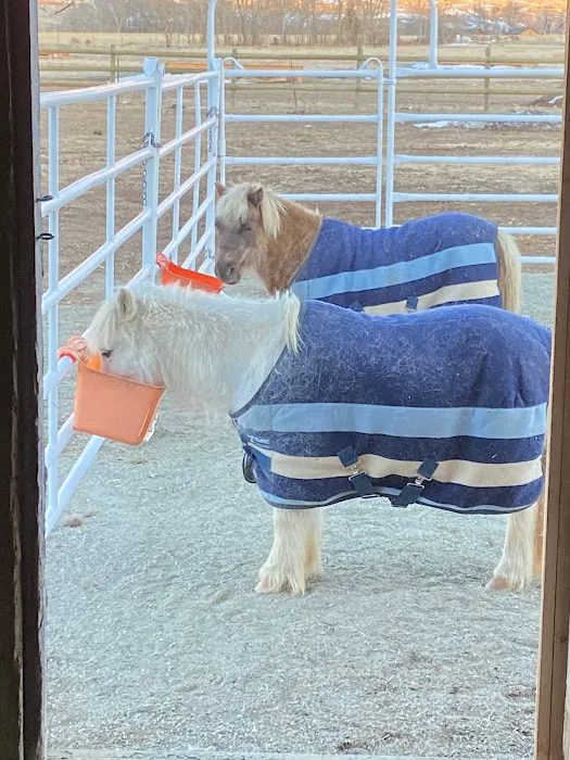 Yellowstone Dreamin Camp Picture 5