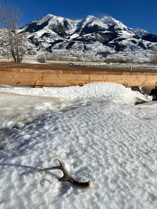 Yellowstone Dreamin Camp Picture 9