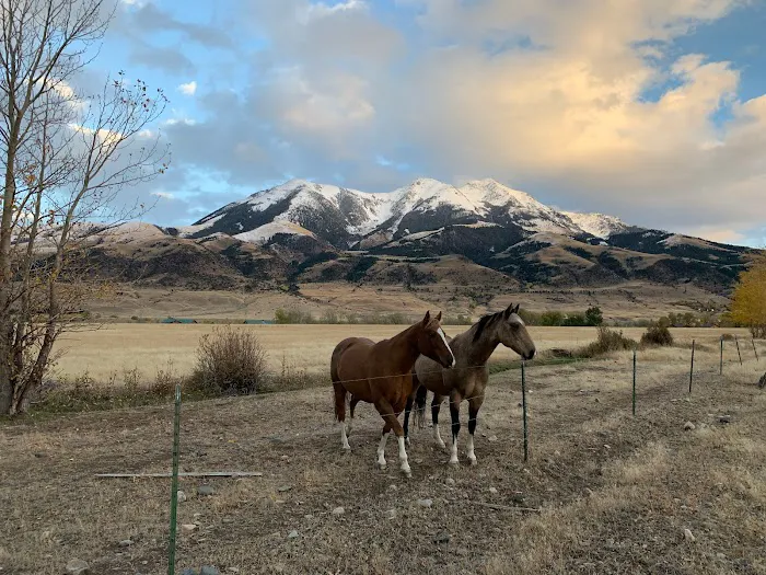 Yellowstone Dreamin Camp Picture 7