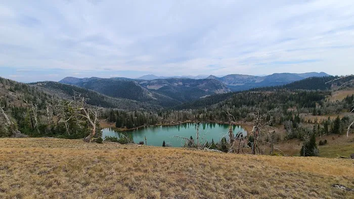 Shelf Lake WE5 Picture 4