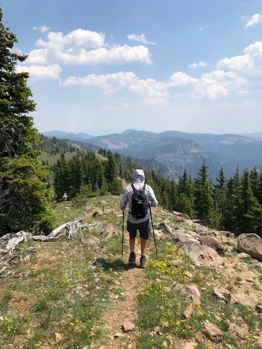 Shelf Lake WE5 Picture 2