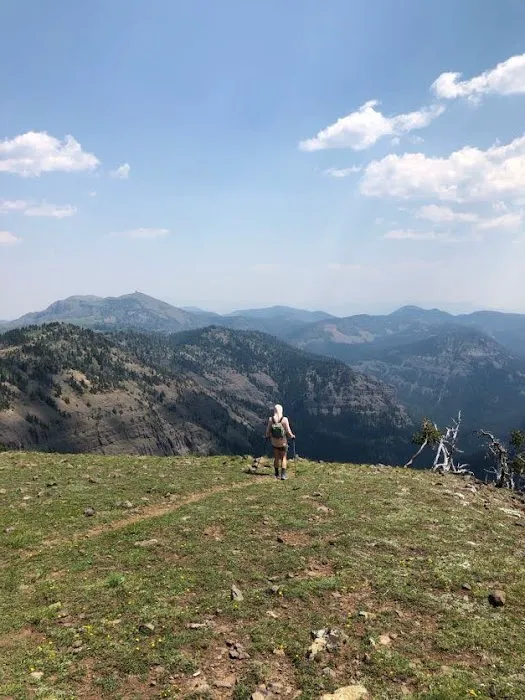 Shelf Lake WE5 Picture 10