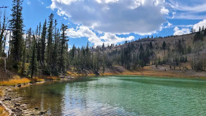 Shelf Lake WE5 Picture 6