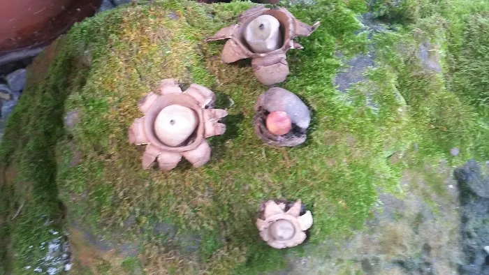 Treehaven Mobile Home Park Picture 8