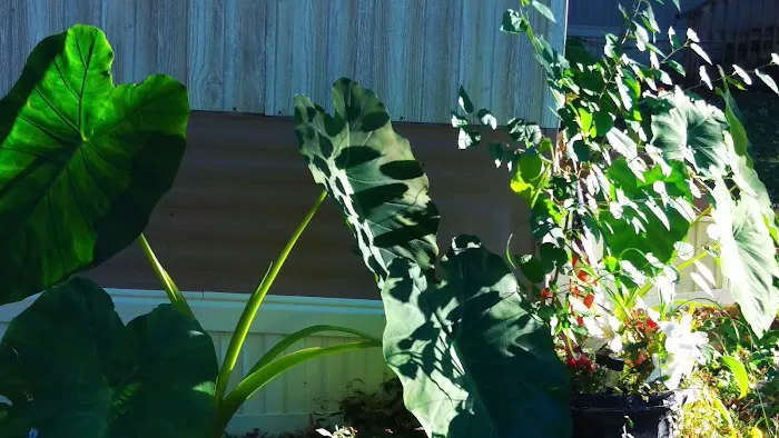 Treehaven Mobile Home Park Picture 9