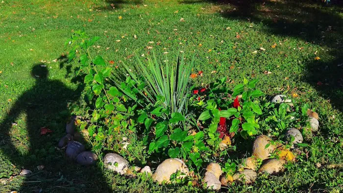 Treehaven Mobile Home Park Picture 3